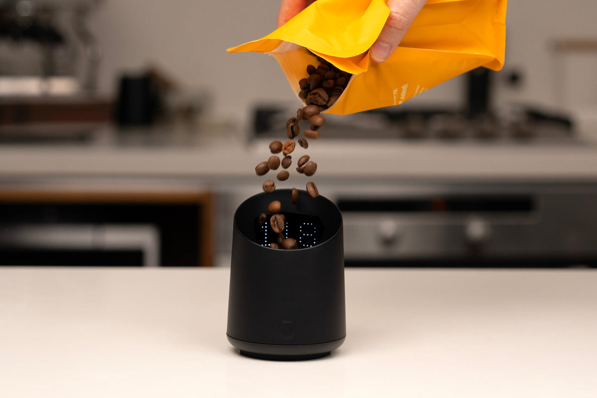 SubScale Coffee Dosing Cup Scale - Black | Subminimal SUBSCALE_POURcopy_f92e9684-d381-4411-9908-80eabfd85956