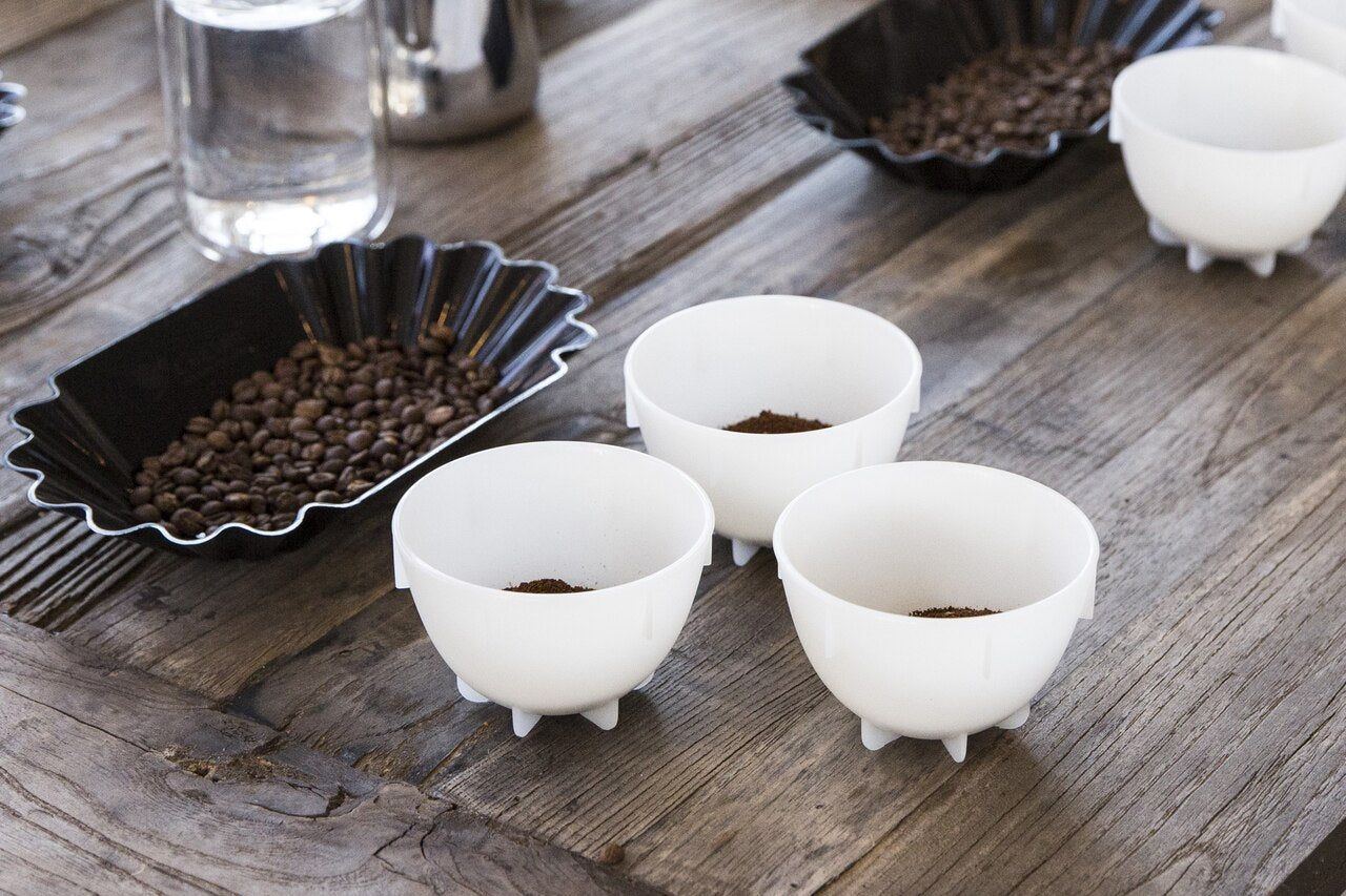 24 Pack of Cupping Bowls | Barista Hustle